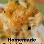 closeup of Homemade Baked Macaroni and Cheese on a fork