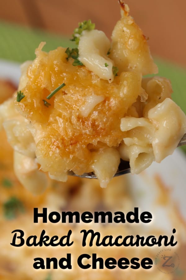 closeup of homemade baked macaroni and cheese on a spoon garnished with parsley