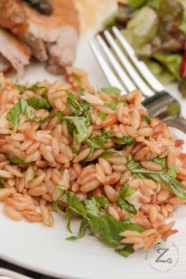 Parmesan Orzo with basil on a white plate with a fork