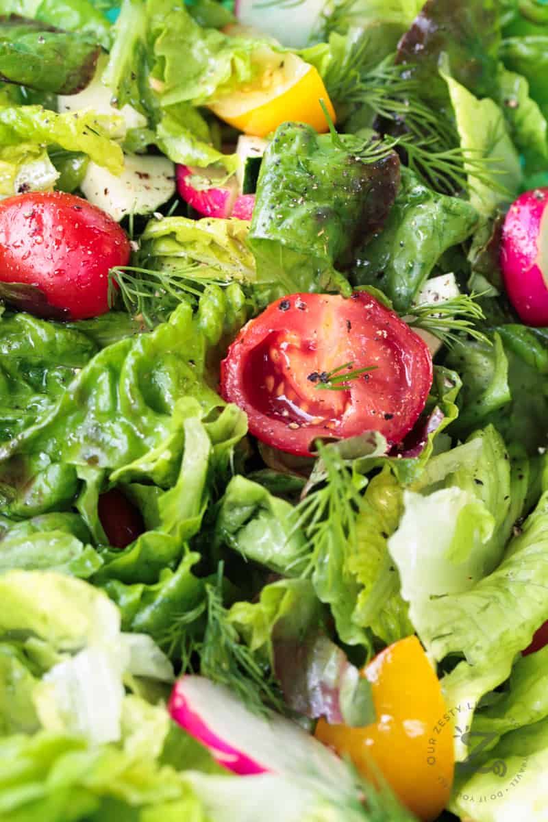 close up of red leaf salad with lemon vinaigrette, with fresh dill, radishes, grape tomatoes and peppers