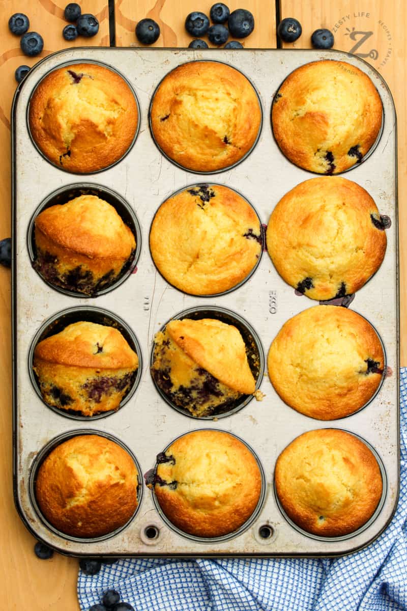 a muffin pan with 12 baked blueberry cornbread muffins, with blueberries, and a blue checked towel in the background