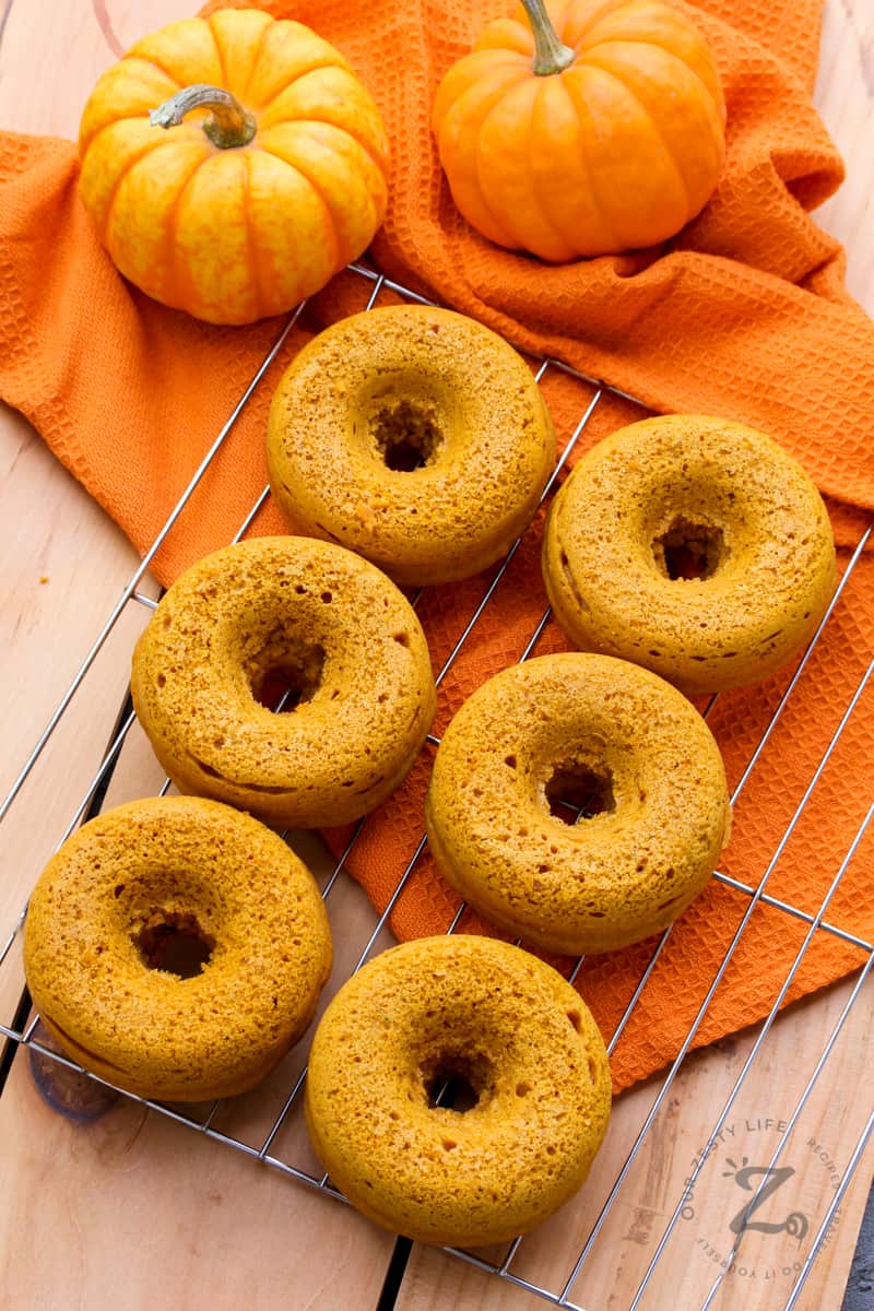 Six baked pumpkin donuts on a cooling rack with two mini pumpkins and an orange cloth in the background