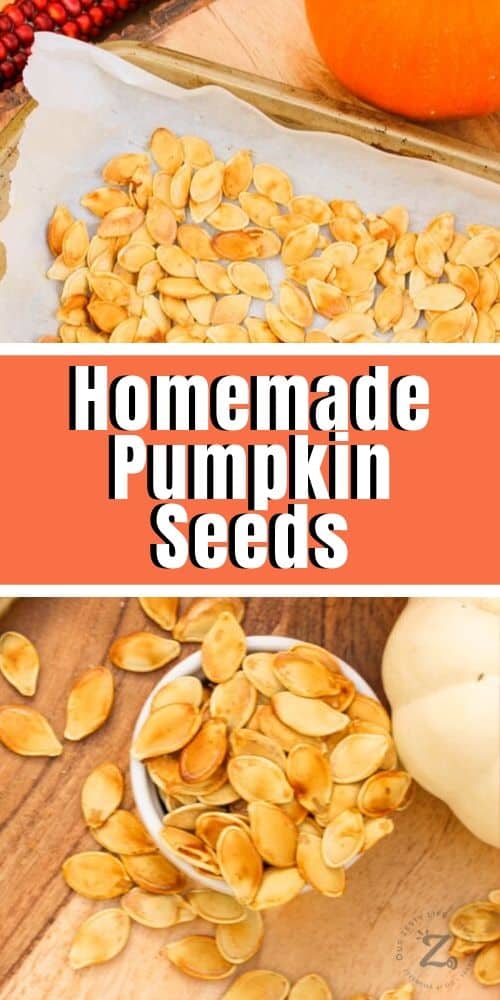 an overhead side view of homemade roasted pumpkin seeds in a bowl and roasting cookie sheet overflowing onto a wooden platter with an orange pumpkin in the background. 