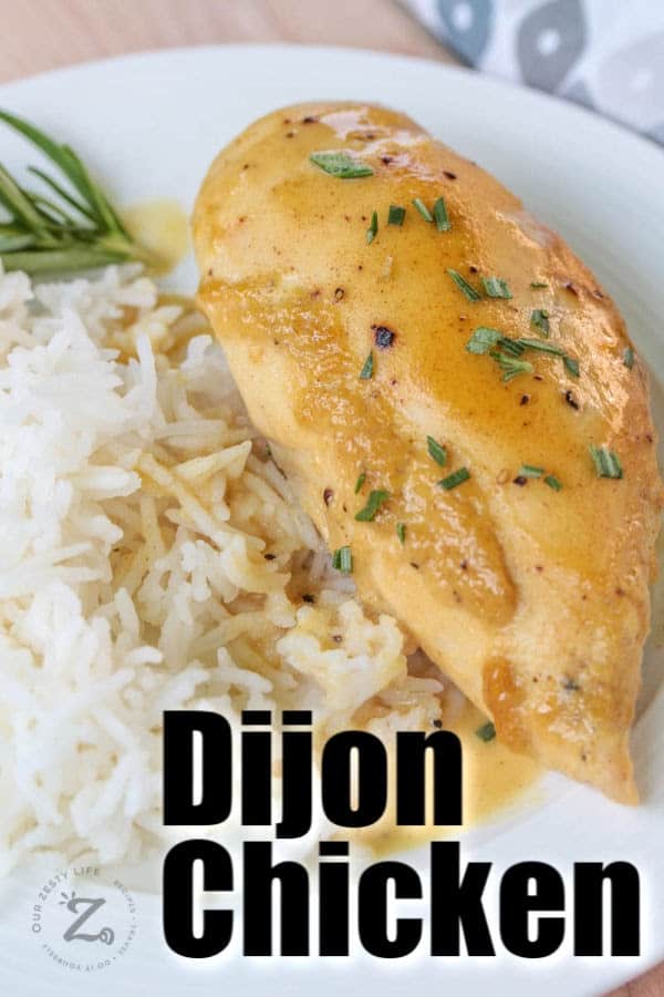 Dijon chicken on a white plate with rice and a sprig of rosemary
