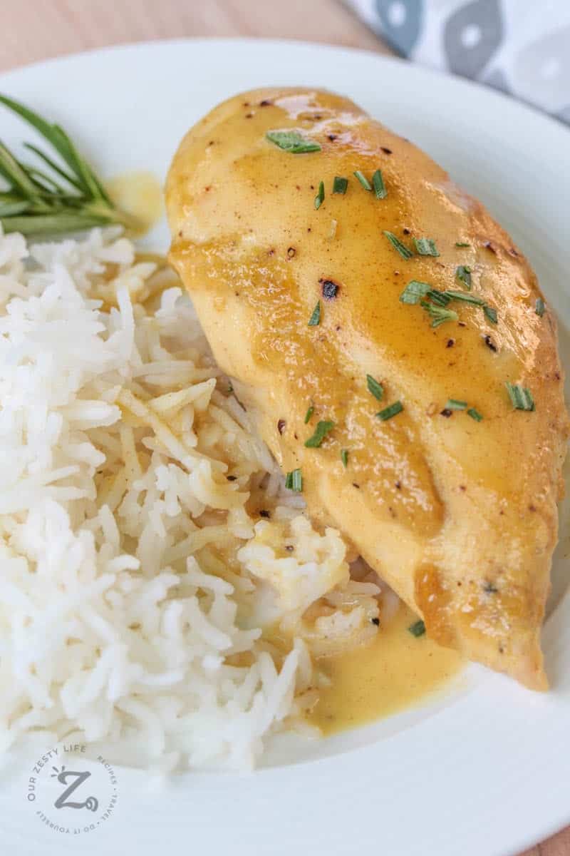 Dijon chicken on a white plate with rice and a sprig of rosemary