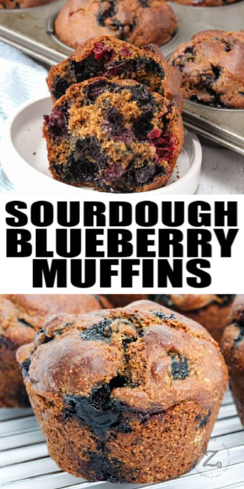 Sourdough Blueberry Muffin on a plate with a title and a muffin cut open showing blueberries