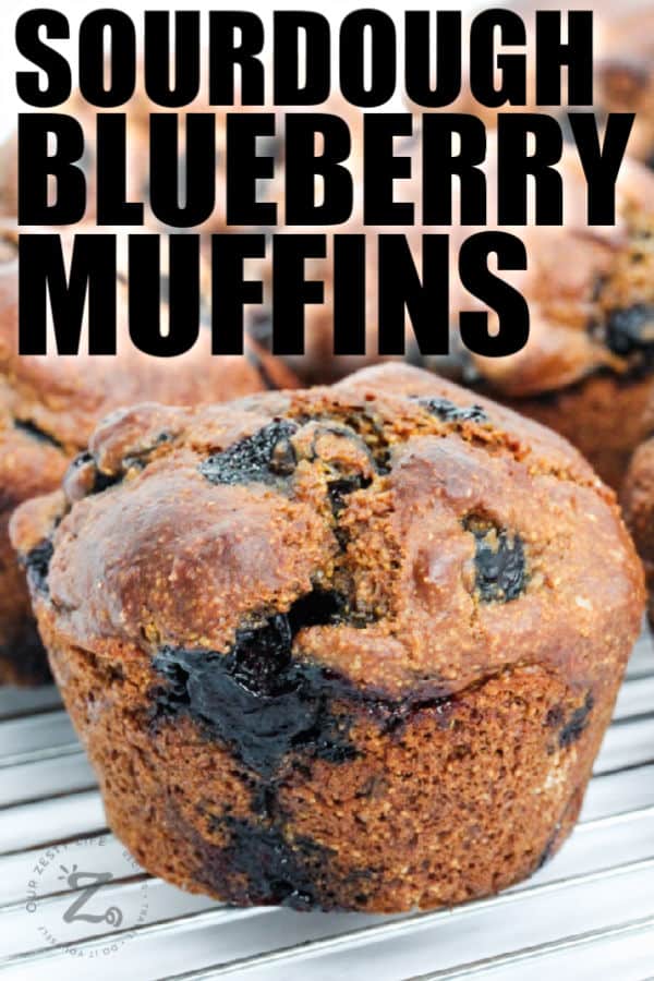 Sourdough Blueberry Muffin on a metal rack with a title