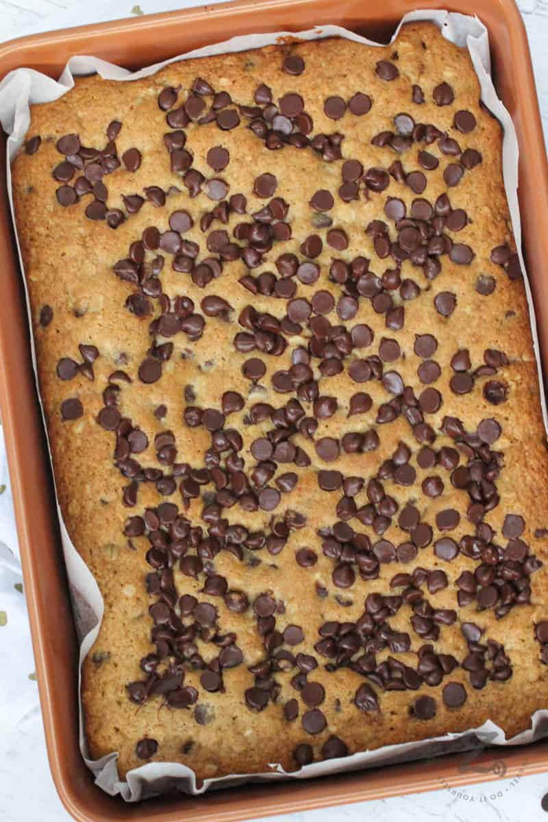 baked Sourdough Chocolate Chip Cookie Bars