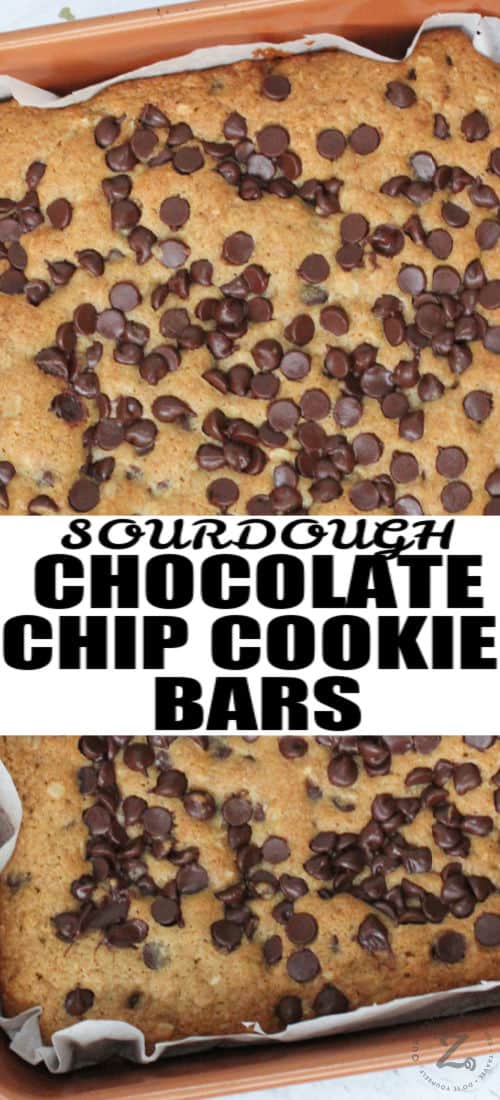 Sourdough Chocolate Chip Cookie Bars in the pan with a title