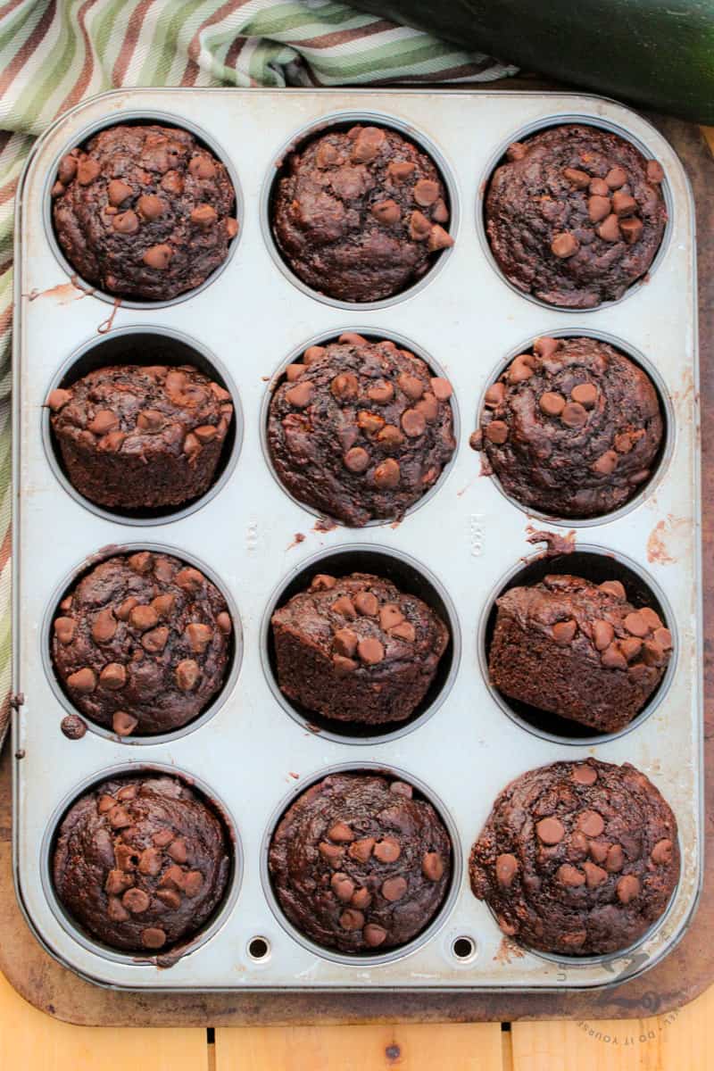 Chocolate Zucchini Muffins baked in the muffin tin