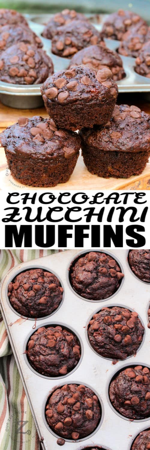 Chocolate Zucchini Muffins in the muffin tray and a few outside the muffin tin with a title