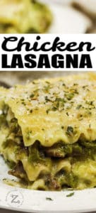 close up of Chicken Lasagna with a title