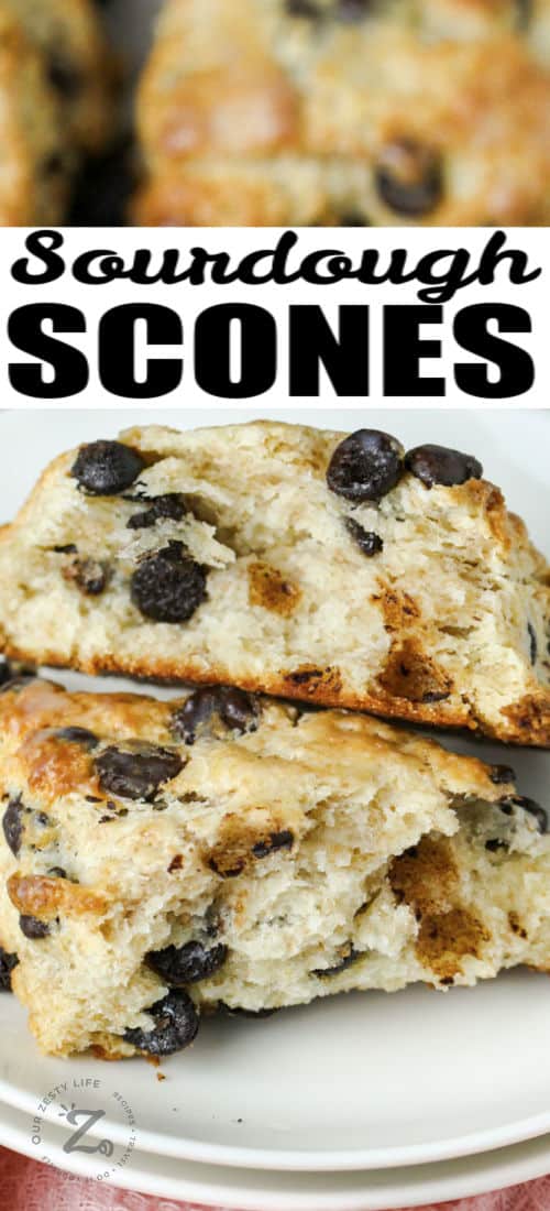 close up of plated Chocolate Chip Sourdough Scones with a title