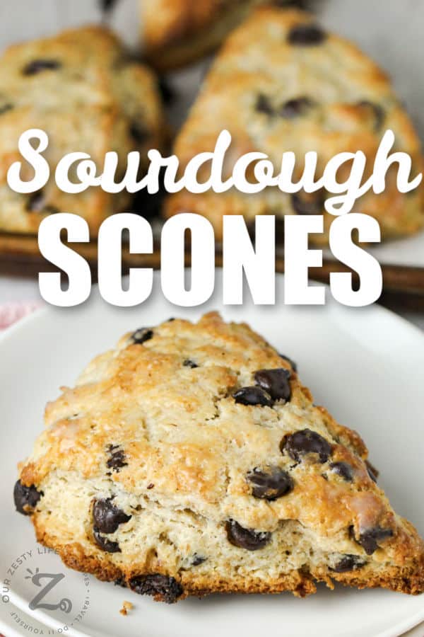 Chocolate Chip Sourdough Scones on a plate with writing