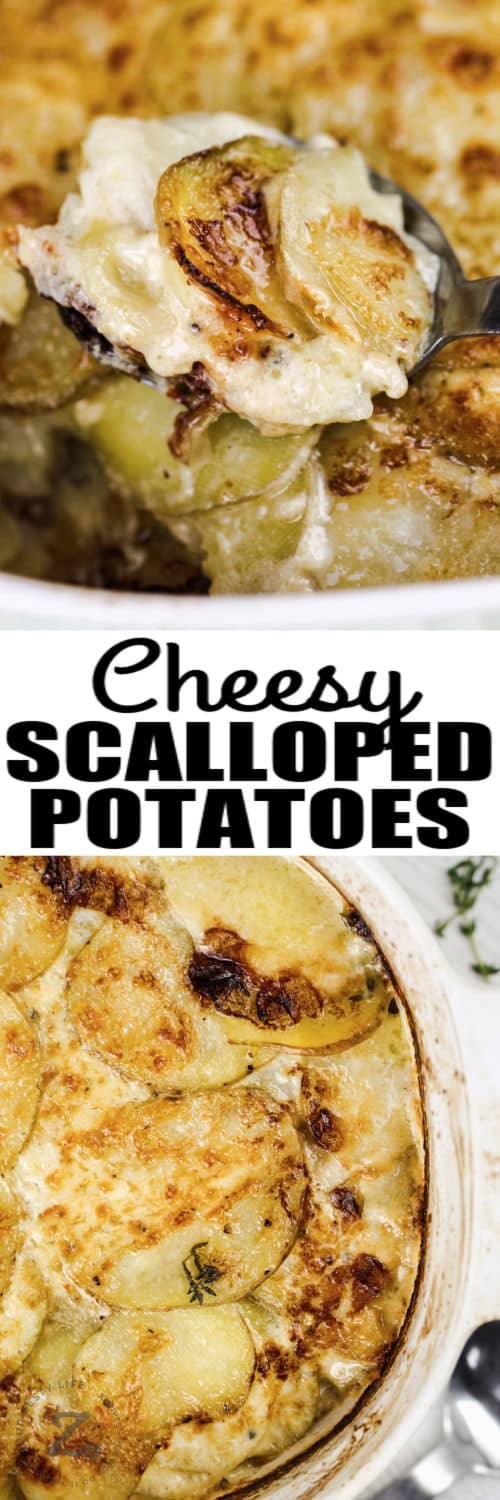 Cheesy Scalloped Potatoes in the dish and on a spoon with a title