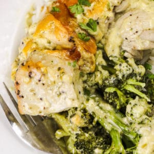 close up of plated Chicken Broccoli Bake