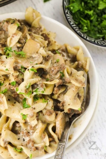 Instant Pot Ground Beef Stroganoff (30 Minute Meal!) - Our Zesty Life