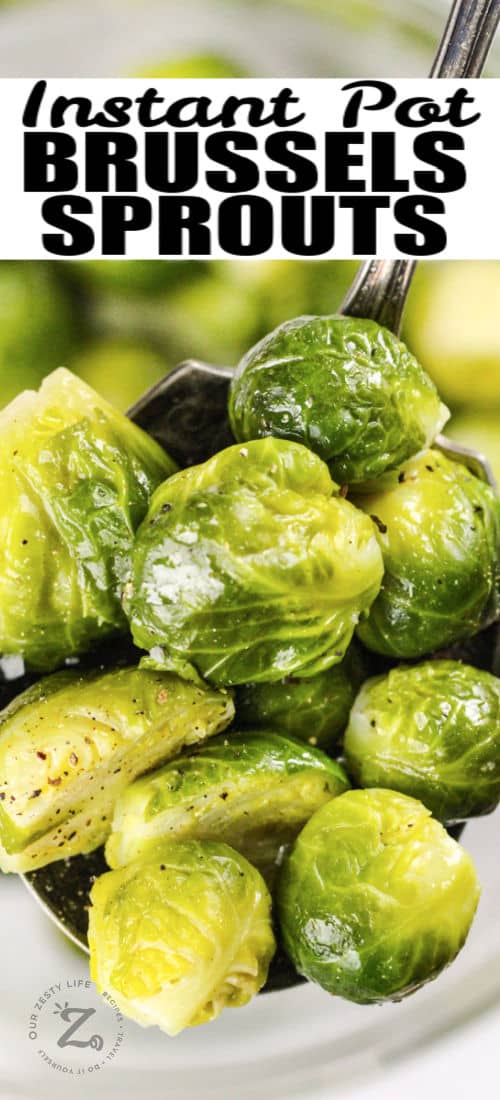 close up of Instant Pot Brussels with writing