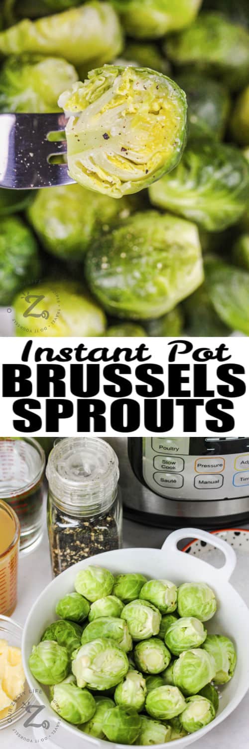 ingredients to make Instant Pot Brussels with plated dish and writing
