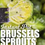close up of Instant Pot Brussels with a title
