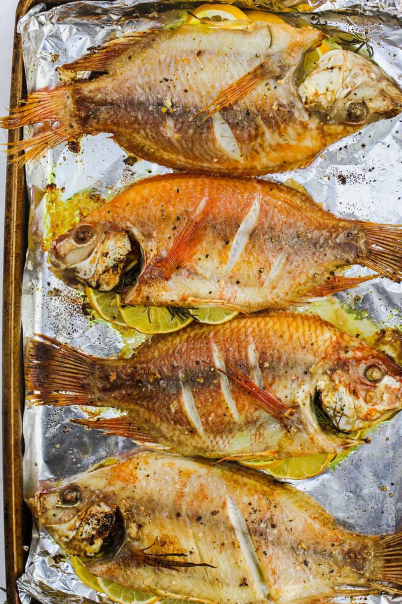 Baked Whole Fish in a row with lemon and seasonings