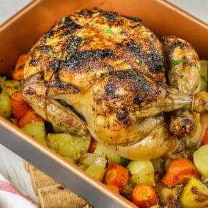 close up of Roast Chicken and Vegetables