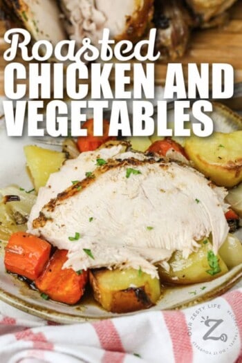 Roasted Chicken and Vegetables (One Pan Meal!) - Our Zesty Life