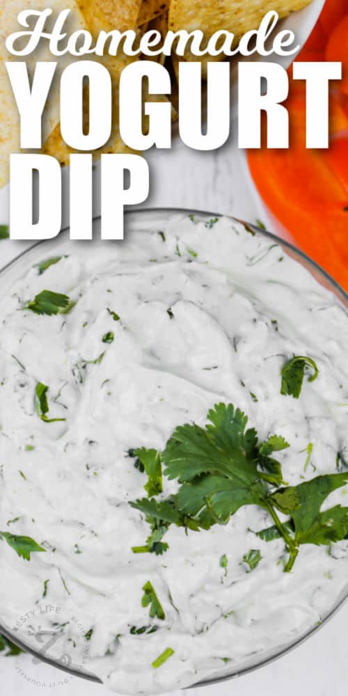 plated Easy Greek Yogurt Dip with a title