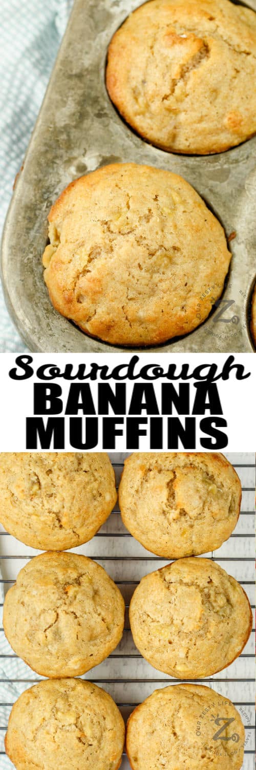 Sourdough Banana Muffins in the pan and cooling on a rack with a title
