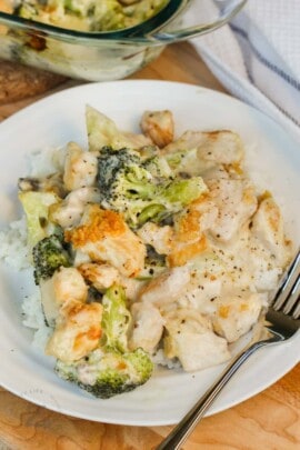 plated Broccoli Chicken Divan with a fork