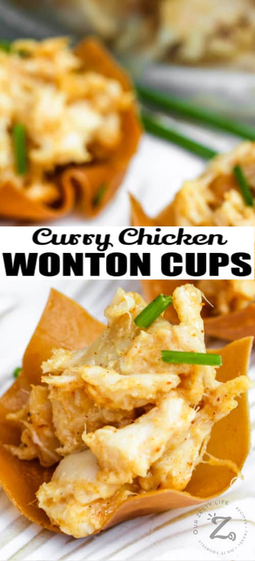 Chicken wonton cups with title