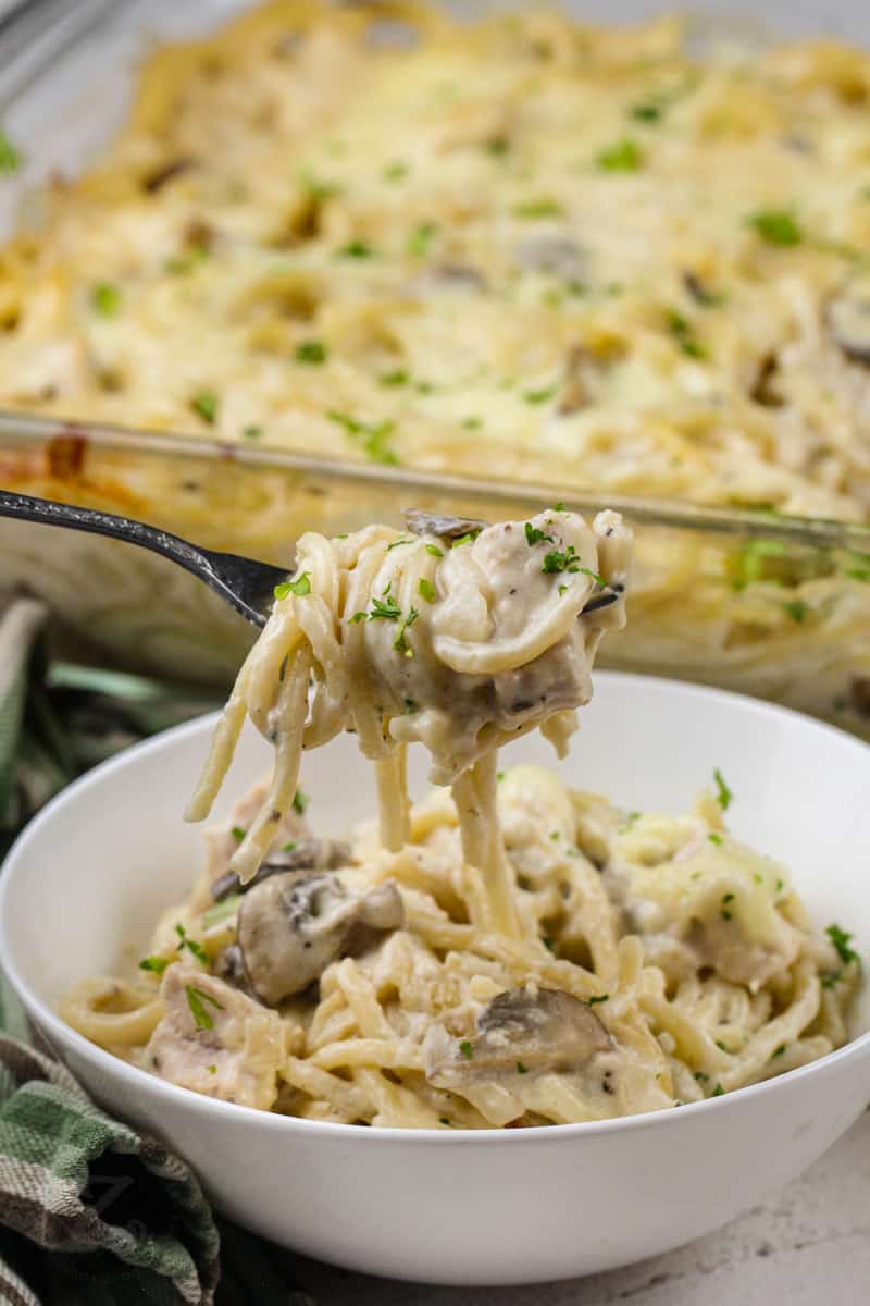 Turkey Tetrazzini in a bowl with a fork full