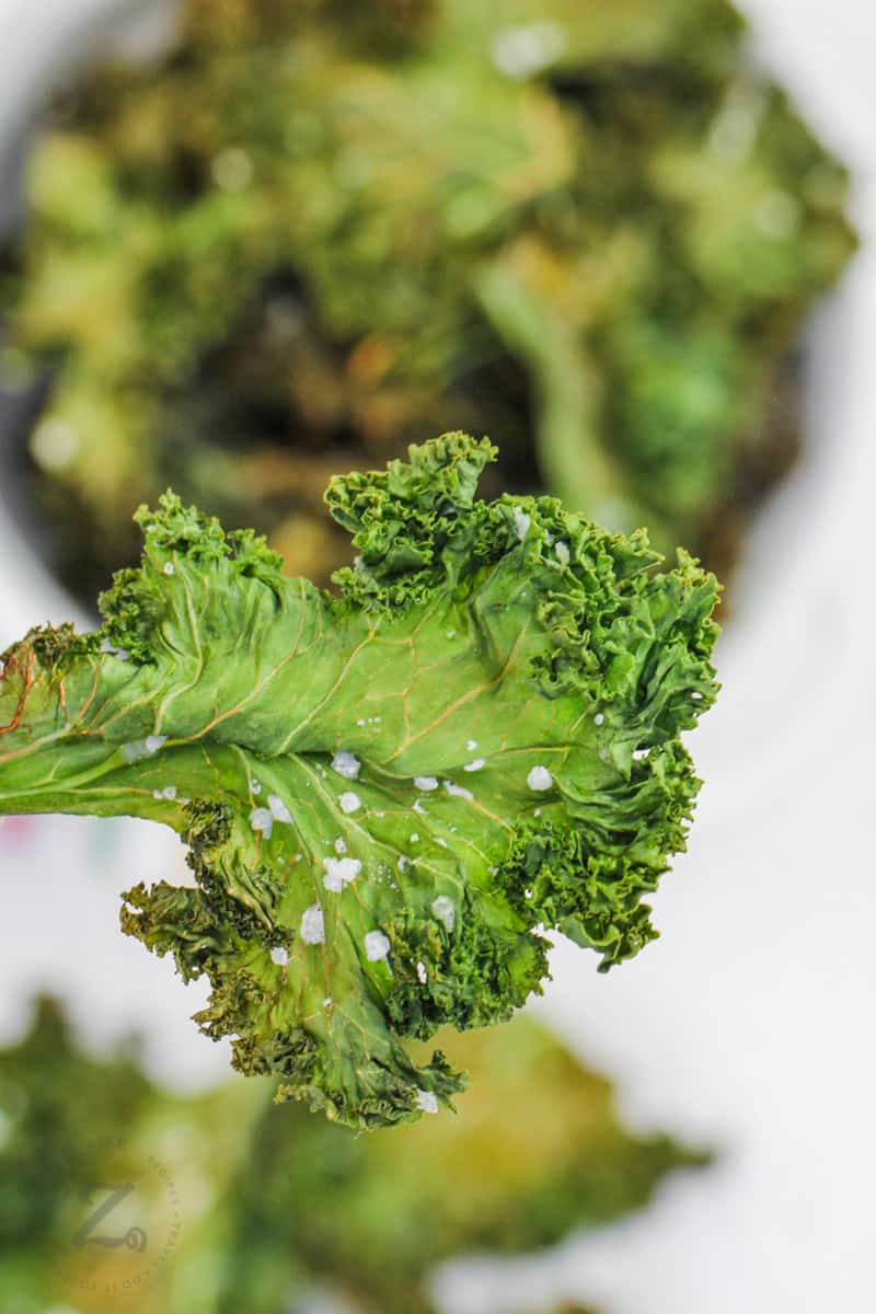 close up of a kale chip with Baked Kale Chips in the background
