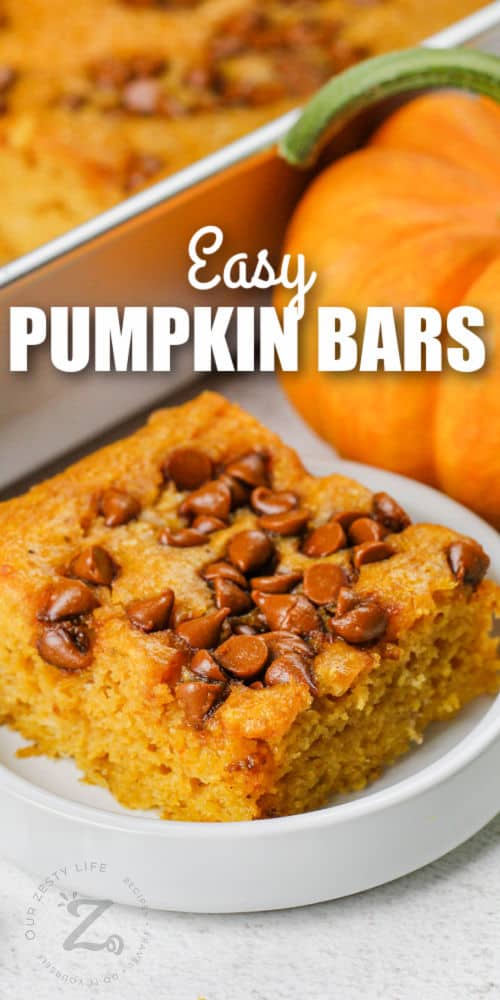 close up of Easy Pumpkin Bars Recipe with writing
