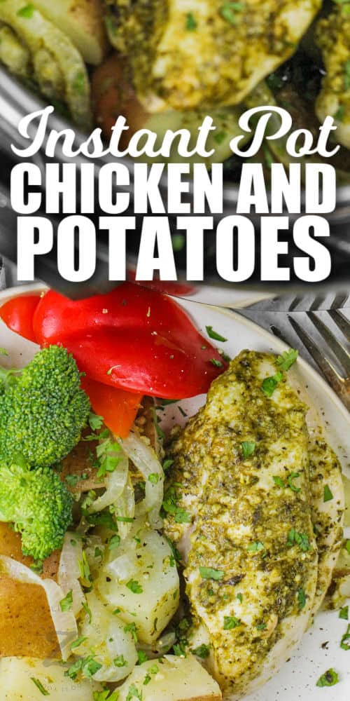 close up of plated Instant Pot Chicken and Potatoes with writing