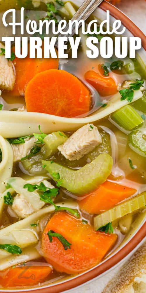 close up of a bowl of Turkey Noodle Soup with writing