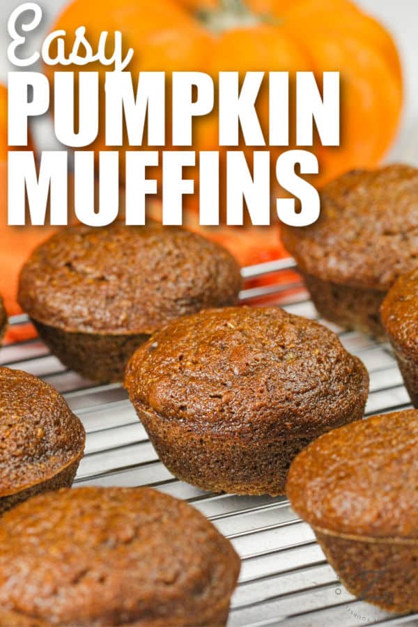 Pumpkin Pie Muffins with pumpkins in the background and a title