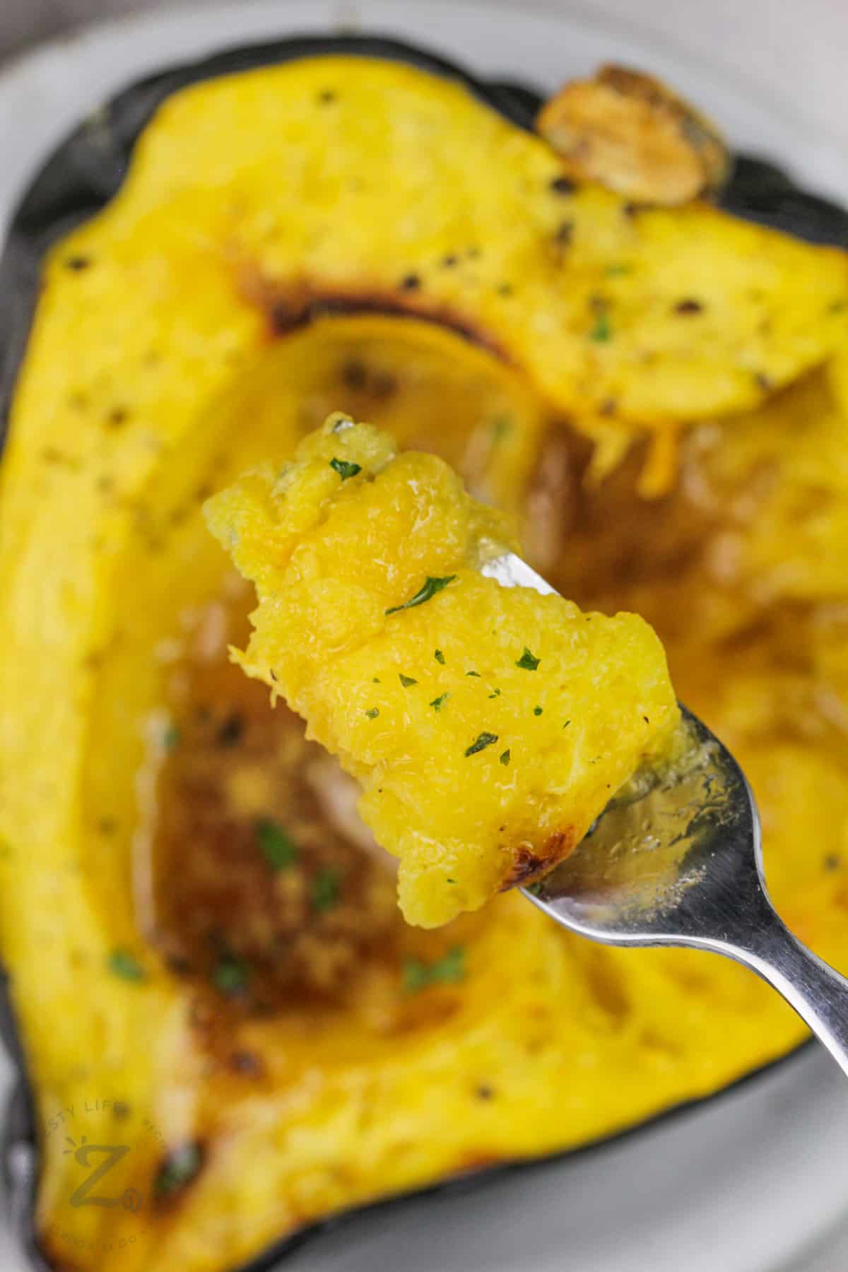 close up of Roasted Acorn Squash on a fork