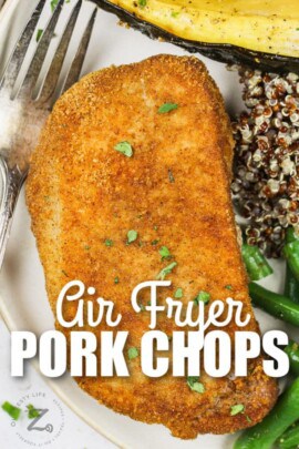 Air Fryer Shake N Bake Pork Chops - Our Zesty Life