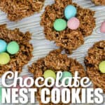 top view of plated Easter Macaroon Nests with writing