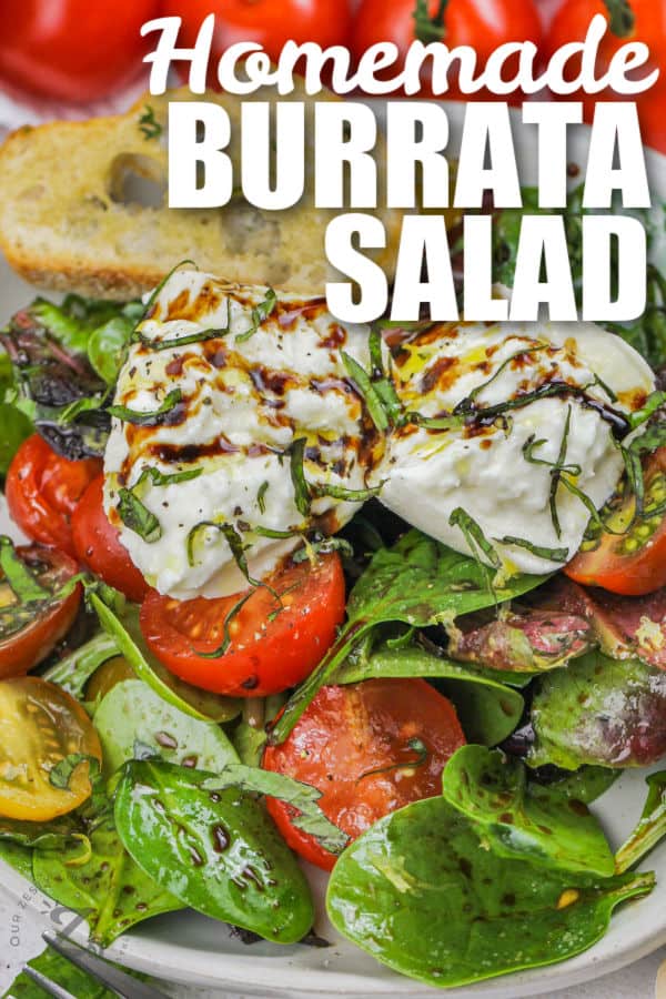 close up of Burrata Salad with a title