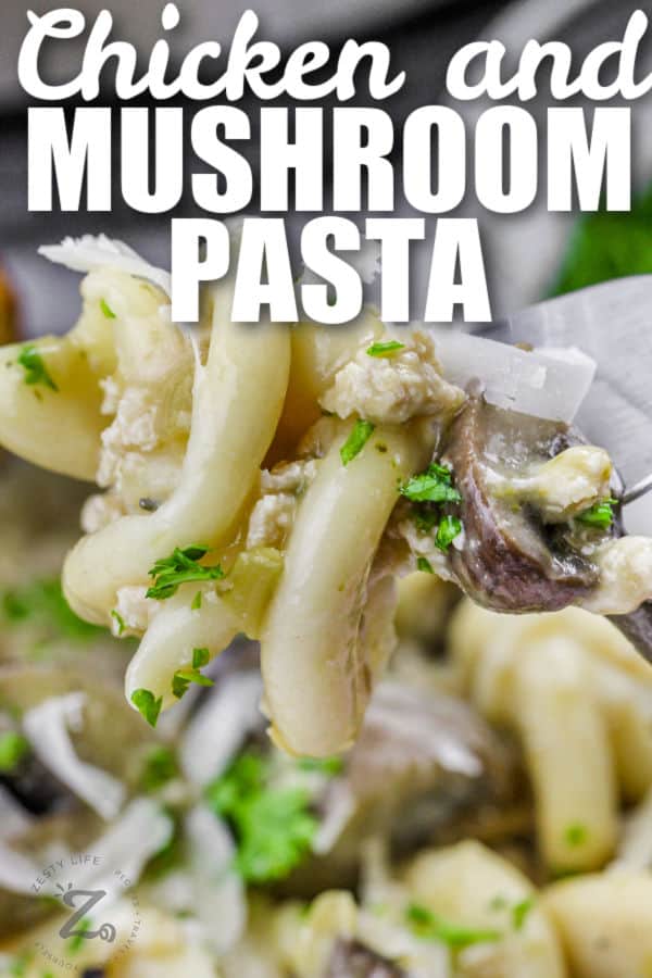 Instant Pot Chicken and Mushroom Pasta on a fork with writing