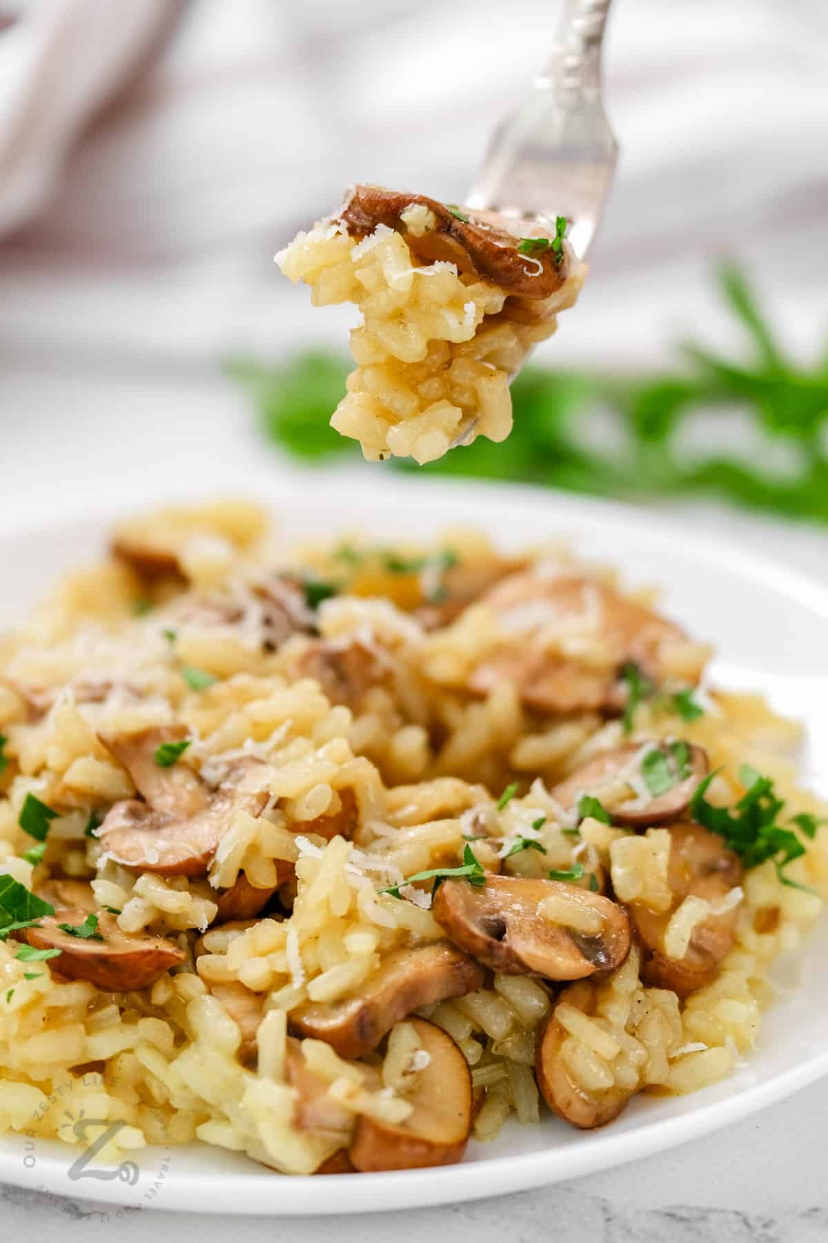 fork full of Risotto with Mushrooms