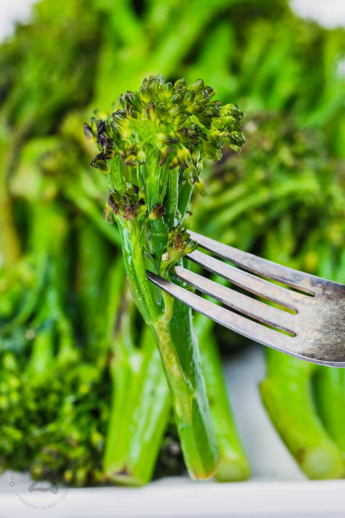 plate of Sauteed Broccolini with a piece on a fork