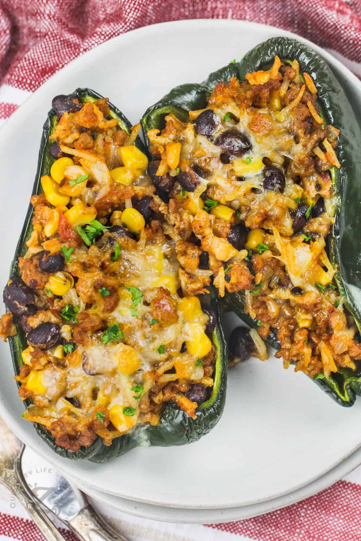 plated Stuffed Poblano Peppers