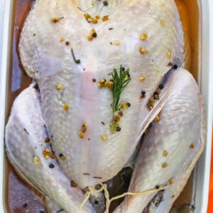 Turkey Brine in a dish with turkey