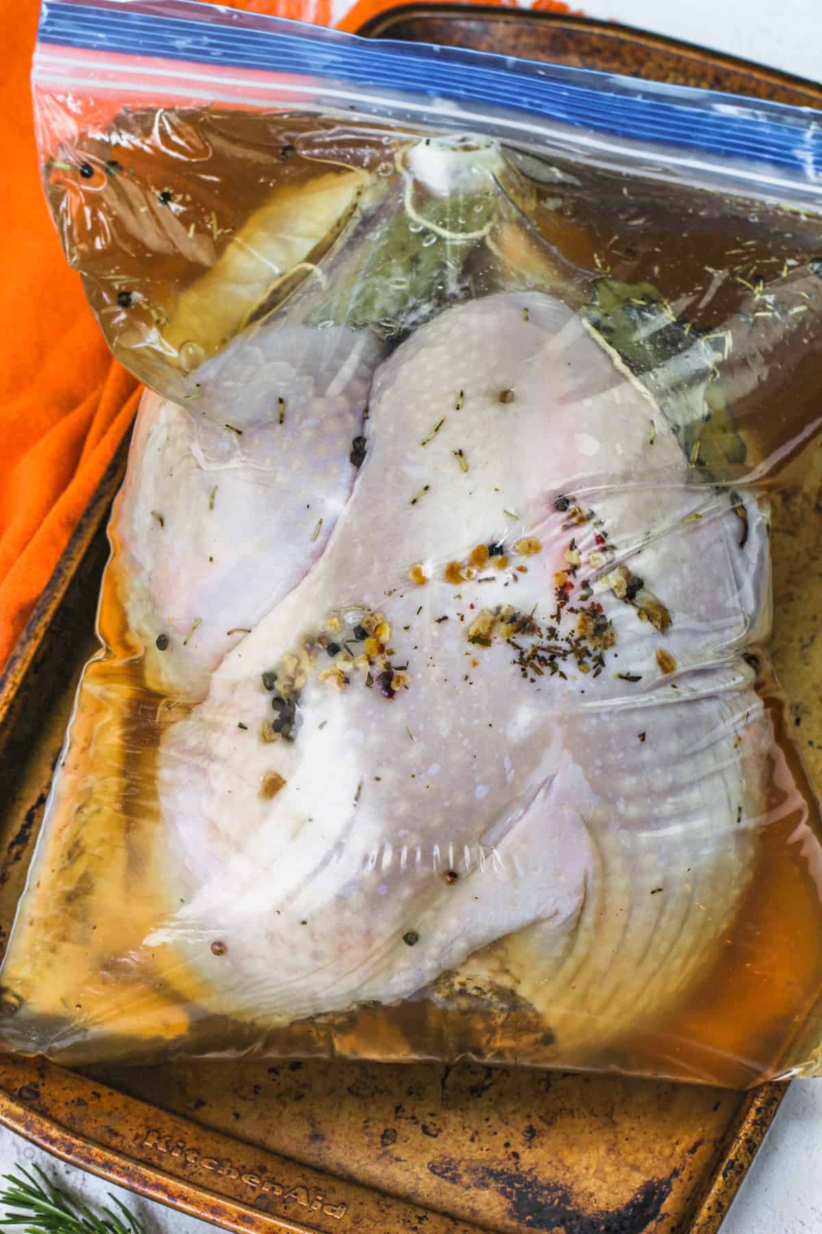 ziplock bag with Turkey Brine and turkey