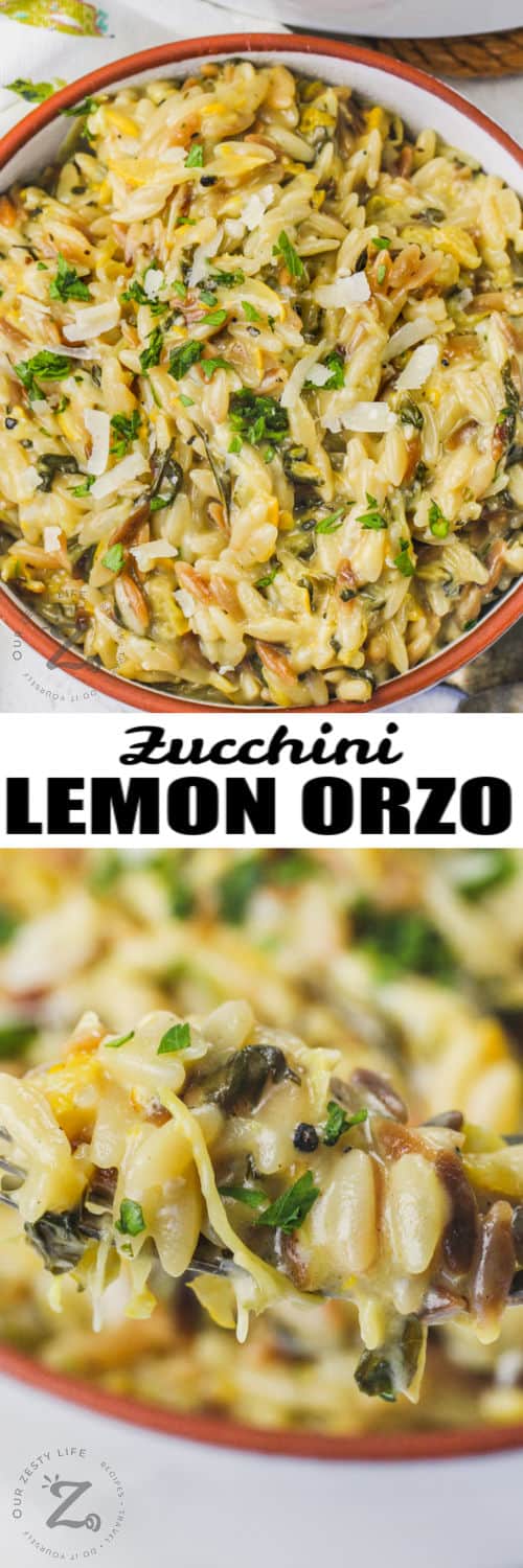 Lemon Orzo with Zucchini in a bowl and on a fork with writing