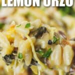 close up of Lemon Orzo with Zucchini on a fork with writing