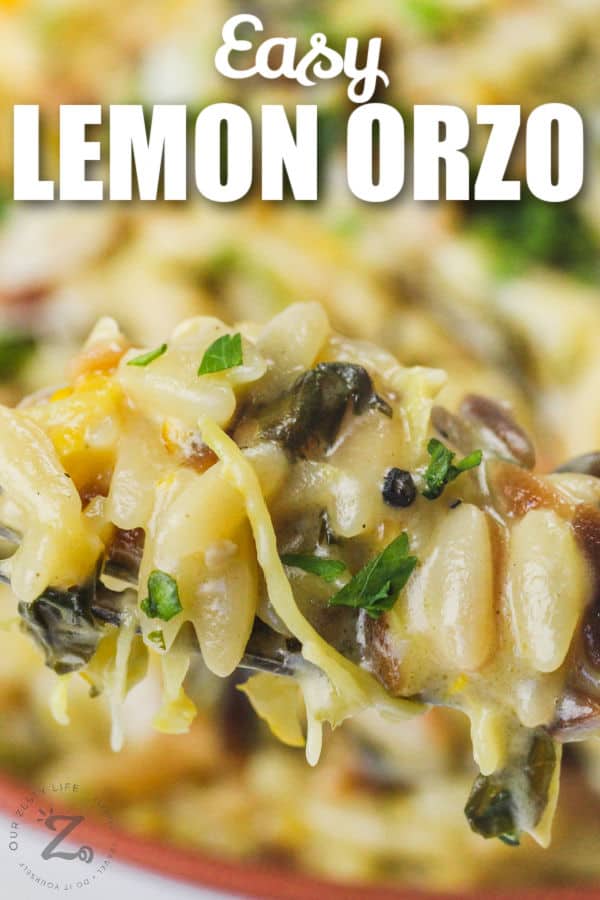 close up of Lemon Orzo with Zucchini on a fork with writing